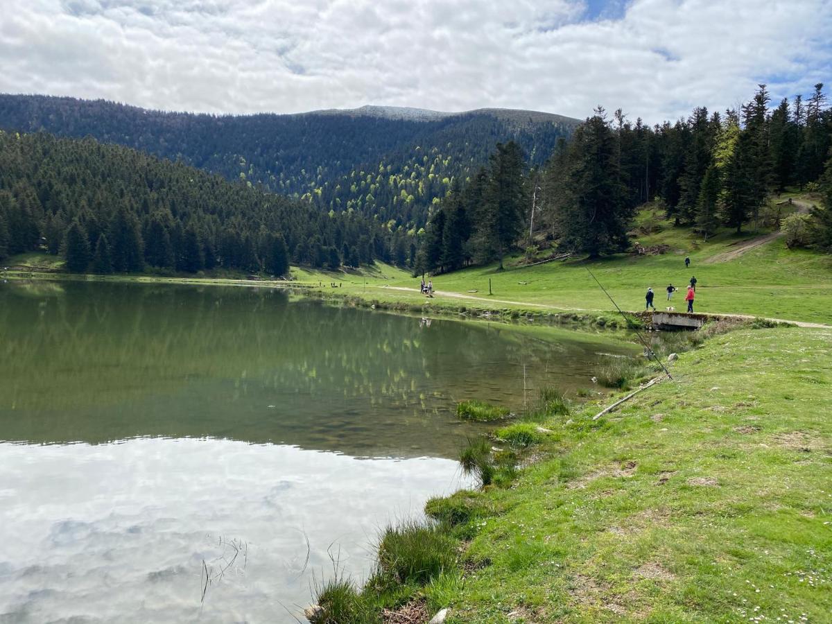 Gite Chaleureux Au Lac De Payolle Campan Luaran gambar